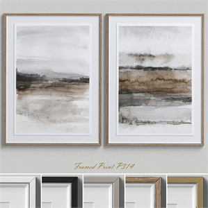 Framed Print P-314